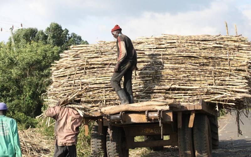 Governors praise debt waiver for cane farmers: The Standard