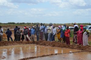 Rice transplanting machine to boost yield – Kenya News Agency