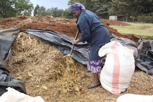 All you must know about making silage at your home