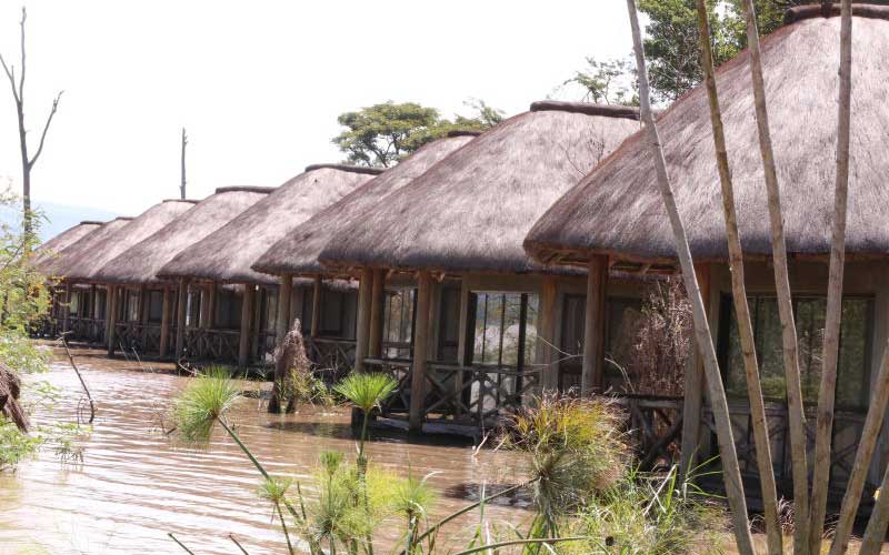Why lawyers want Uganda to pay for Lake Victoria damages