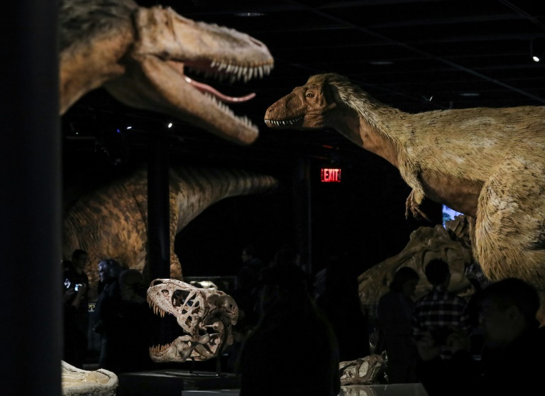 Dinosaurs got cancer too, say scientists » Capital News