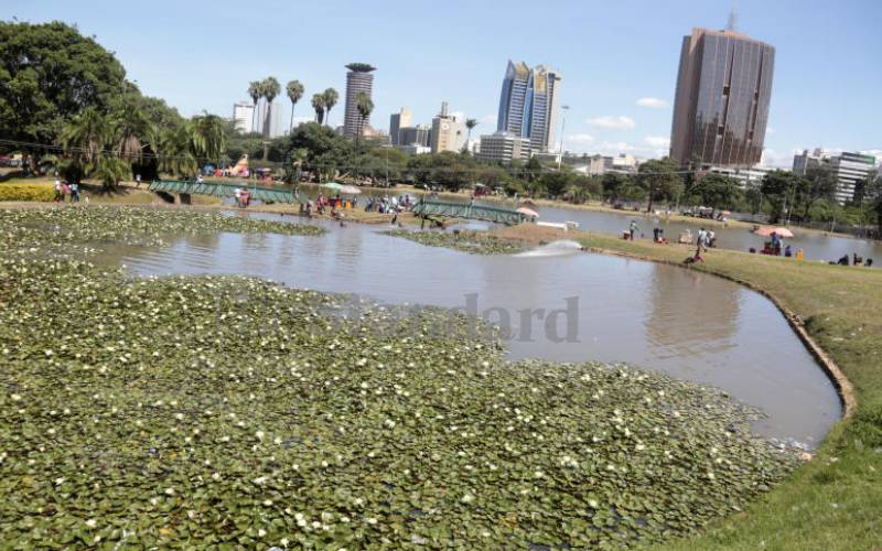 Uhuru and Central parks to close for major renovation