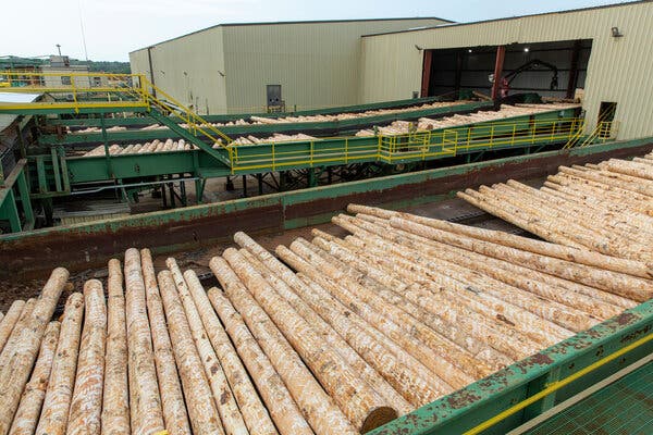 Logs ready to be processed at a saw mill in Arkansas. The price of lumber has come down 47 percent since early May.