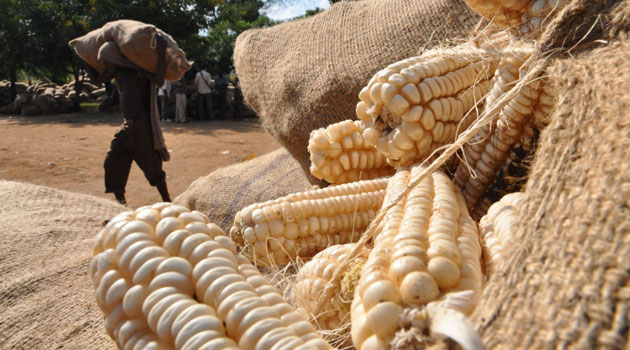 KAM warns of looming food crisis should wheat, maize shortage persist