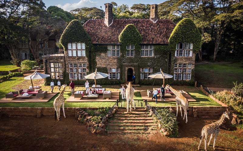 Giraffe Manor opens doors since Covid-19 struck