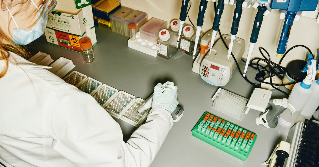 Prototype Vaccines Protect Monkeys From Coronavirus