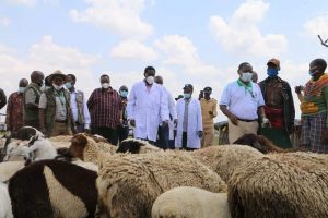 Livestock vaccination campaign launched to fight threatening diseases – Kenya News Agency