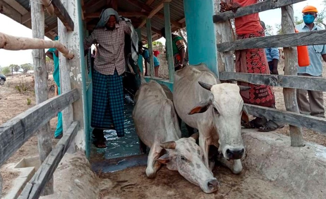 Kenya: Drought-Hit Kenyans to Receive Cash, Not Food Aid