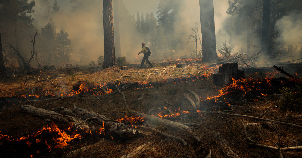 The Meaning and History of a Controlled Burn
