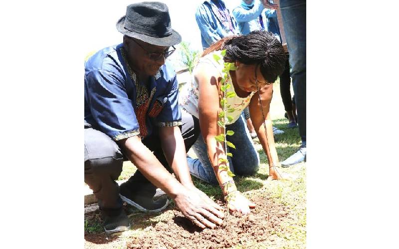 Locals join new effort to reforest Maragoli Hills