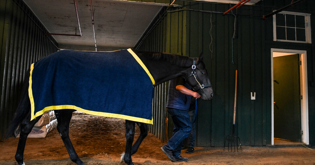 Preakness Stakes Live Updates: Medina Spirit News and What to Expect