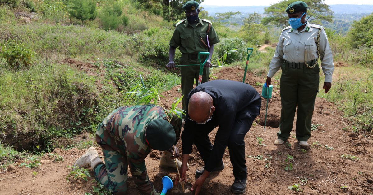 Forest Conservation Offers Hope to Find Cure for Covid-19 Pandemic – Kenya News Agency