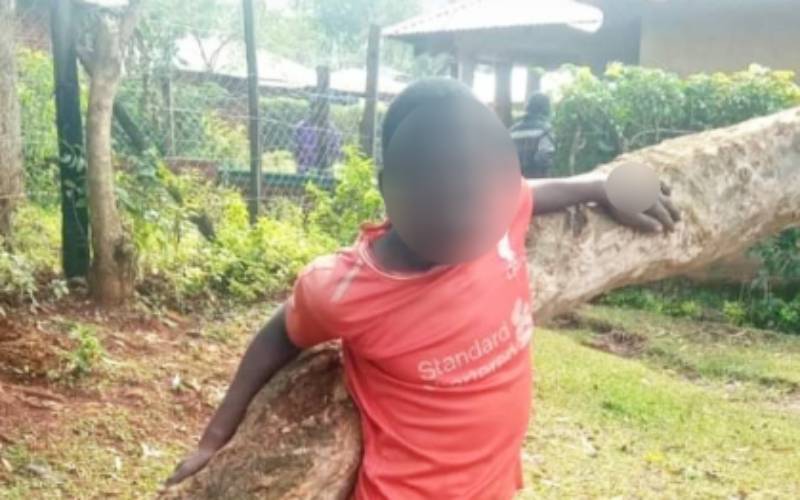 Vihiga man nailed to a tree for allegedly stealing a radio