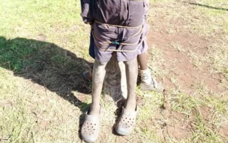 Two teachers face disciplinary action over photo of pupils tied to tree