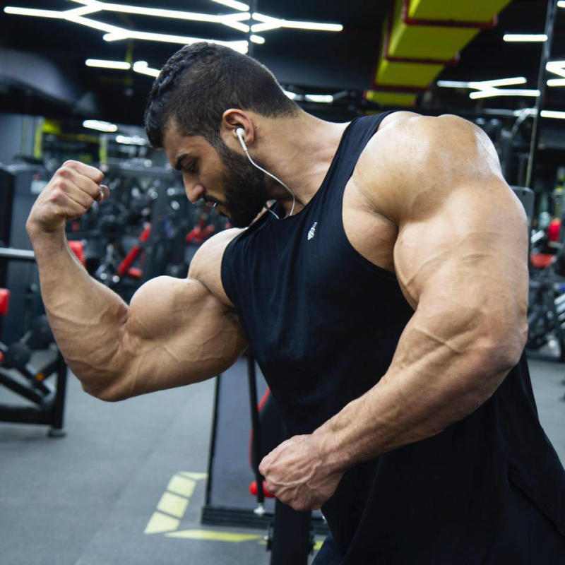 The Standard - Kenya: Egypt bodybuilders feel pain but no gain in lockdown | The Standard