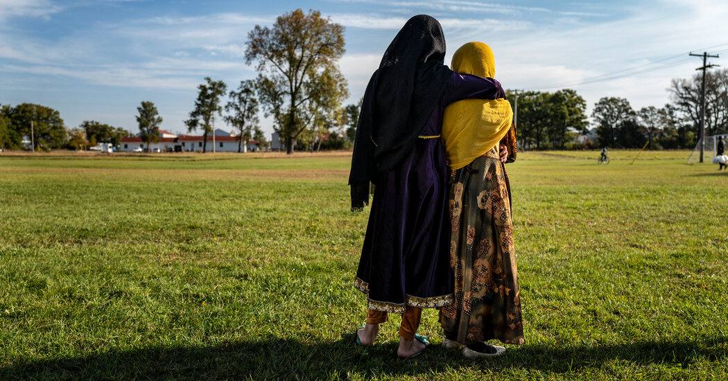Opinion | Would You Sponsor an Afghan Refugee?