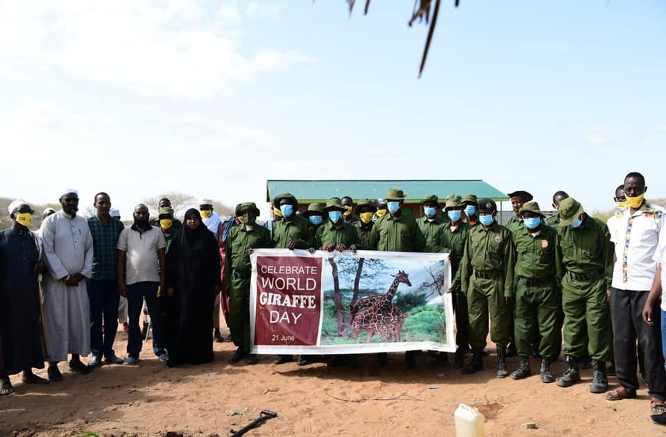 Garissa residents urged to protect endangered reticulated Somali giraffes – Kenya News Agency