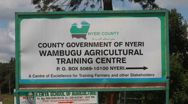2 carpenters quarantined in Nyeri after sneaking from Nairobi » Capital News