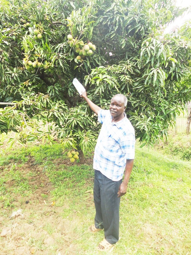Eco-Pillar Sacco helps breed fruits of success to farmer