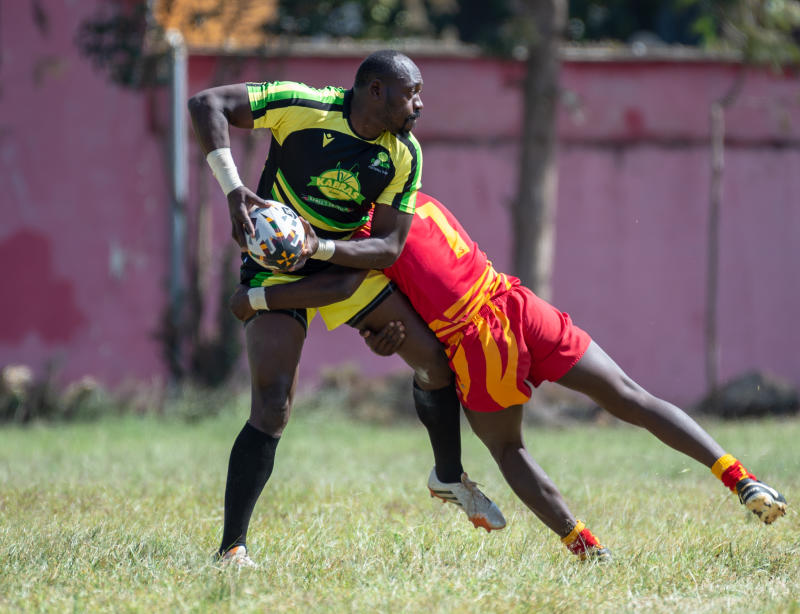 Kabras, KCB hunt for Kenya Cup final slots : The standard Sports