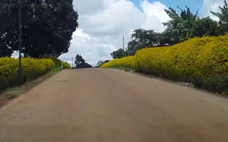 Homeowners sue over Sh72m service charge