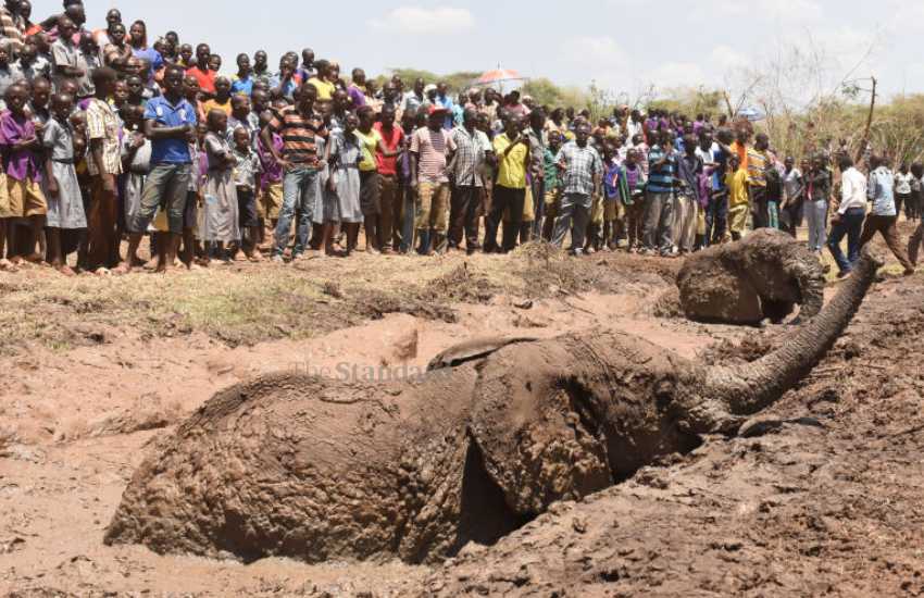 Kerio Valley's 'crocodile lake' on verge of extinction