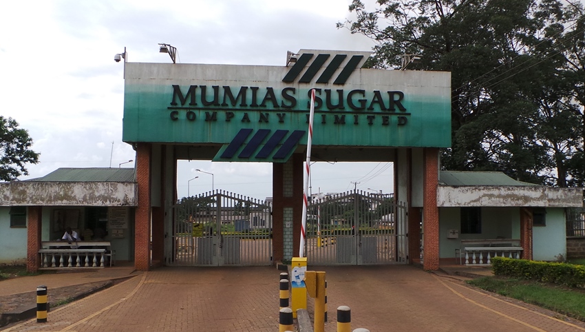 Lawyers Demand Lease Agreement Between Mumias Sugar Company And Sarrai Group