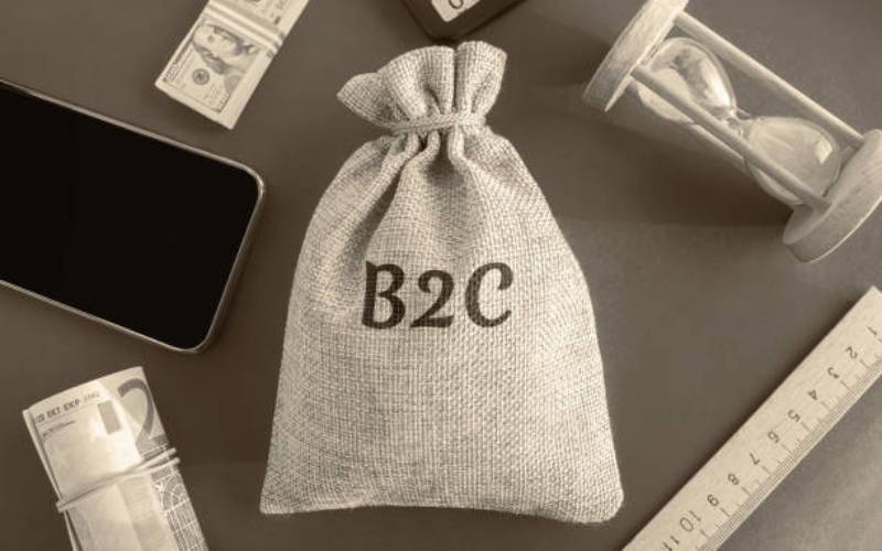 The growth of Business-to-Consumer commerce