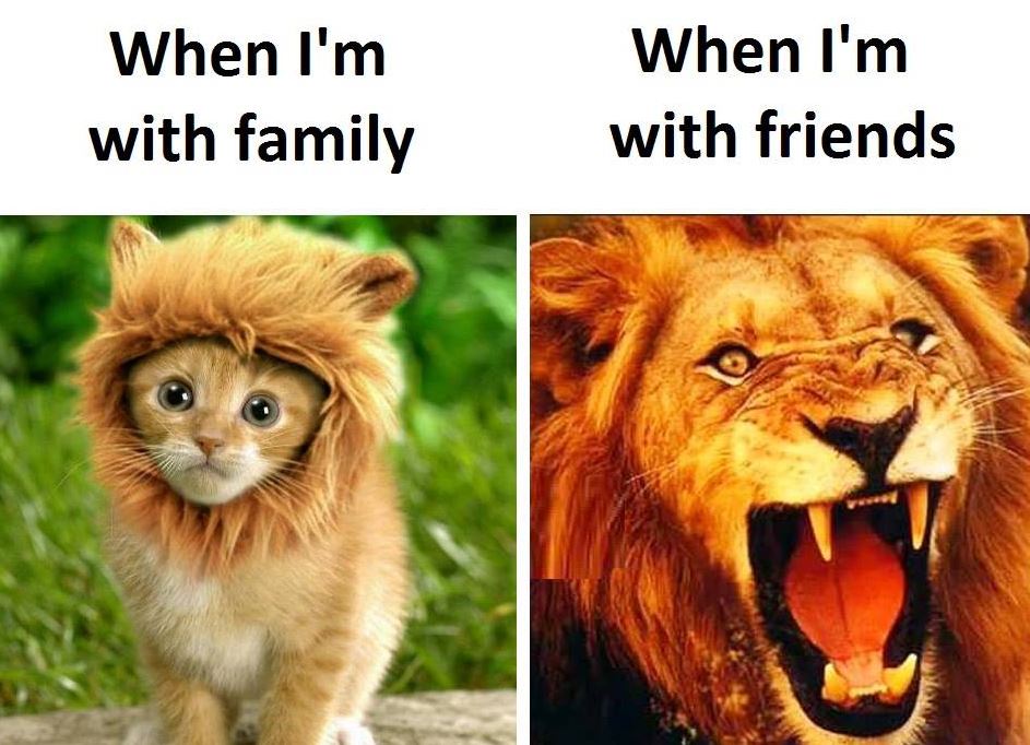 Hilarious Meme Compilation (Thursday January 17)