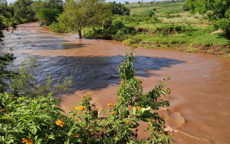 Bodies of men allegedly thrown in river recovered