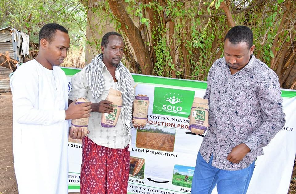 Sudan grass seeds to boost livestock production – Kenya News Agency