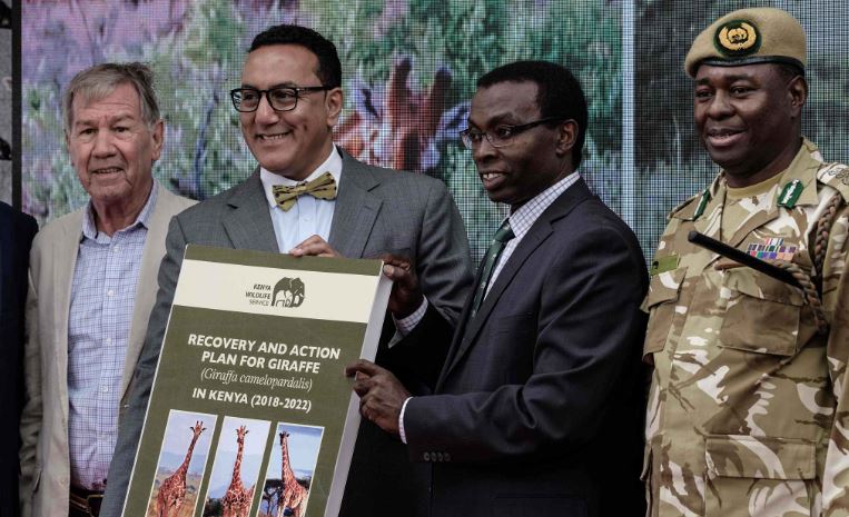 Kenya Takes Action to Save "Critically Endangered" Giraffes from Extinction