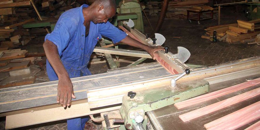 Logging ban cuts Sh4bn revenue hole in forestry