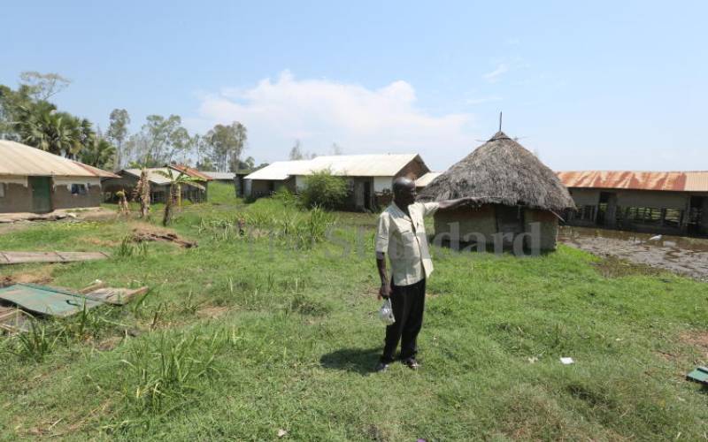 Mau Mau market: Where landlords and tenants struggle to stay afloat