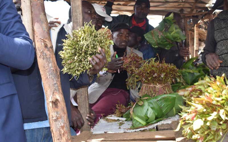 Traders in fight with sacco over miraa cash