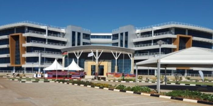 KCAA Takes Action as Birds Hover Over International Airport