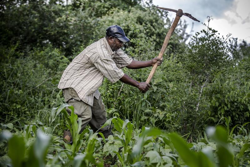 Agriculture offered safe haven to those who lost jobs due to Covid-19