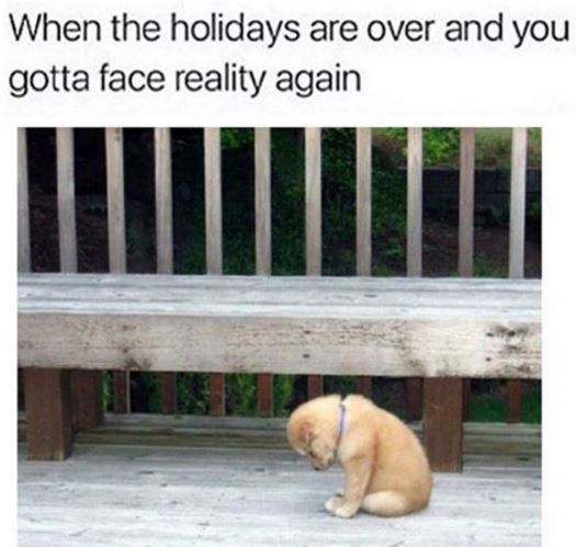 Hilarious Meme Compilation (Friday January 18)