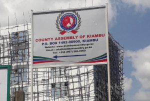 Kiambu Liquor traders petition for license waivers – Kenya News Agency