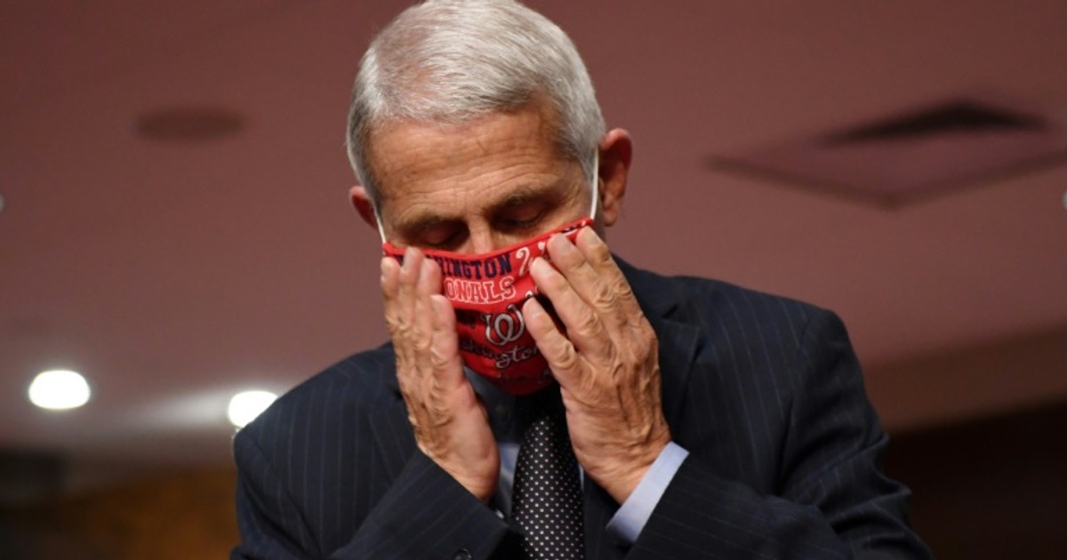 US could hit 100,000 new virus cases a day: Fauci [ARTICLE]