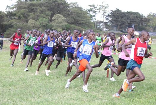 Stars battle at Cross Country trials : The standard Sports