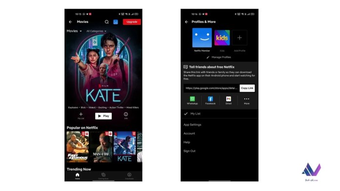 Everything to expect with Netflix Free Plan in Kenya