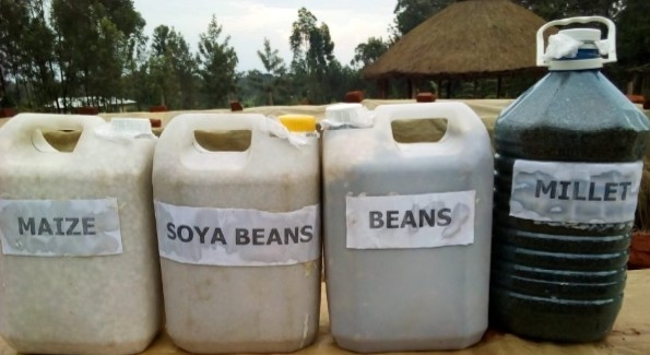 Farmers learn jerrycan technology to store beans upon harvesting