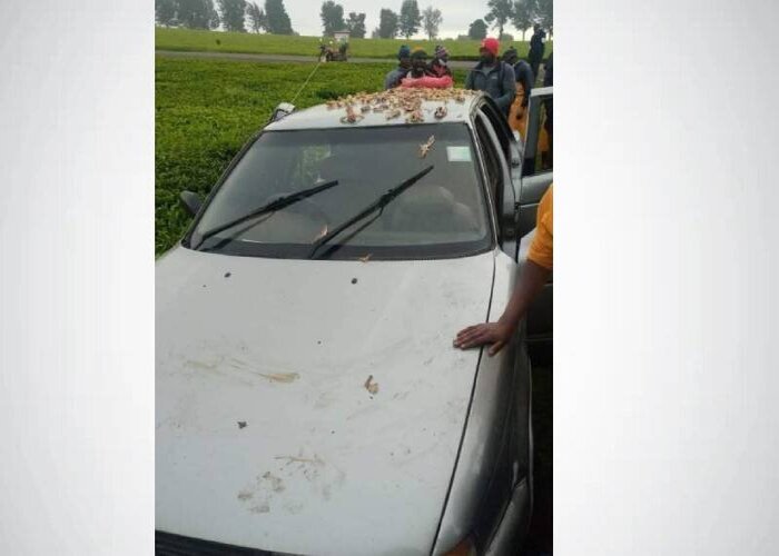 Limuru girl, 17, grabs steering wheel of alleged rapist's moving car, saves self