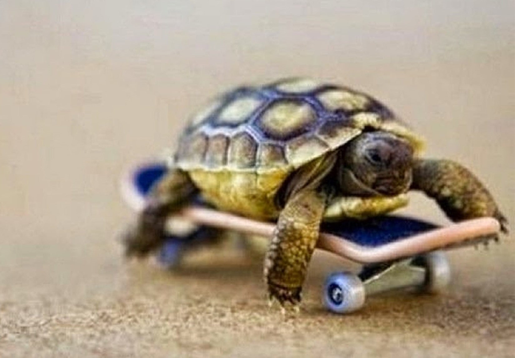 Working smarter to lower overheads