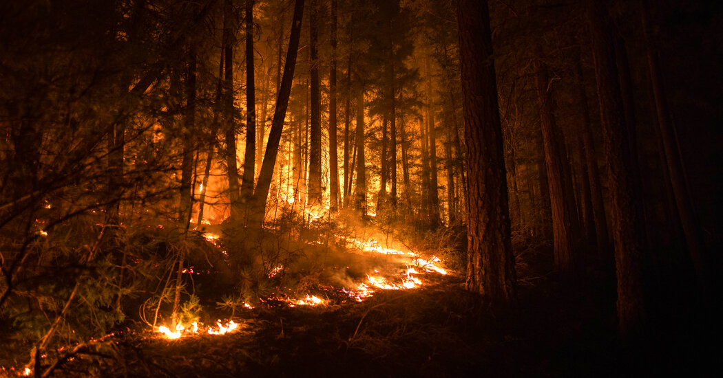 PG&E agrees to pay $55 million in penalties over two wildfires.