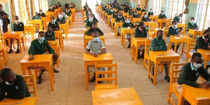KNEC Sets Guidelines For Grade 6 Exams: How to Check Registration Details