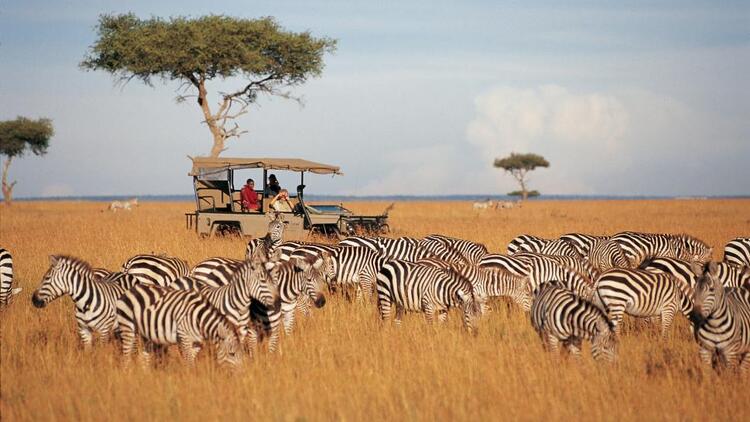 Marriott International to open first luxury safari lodge in Kenya
