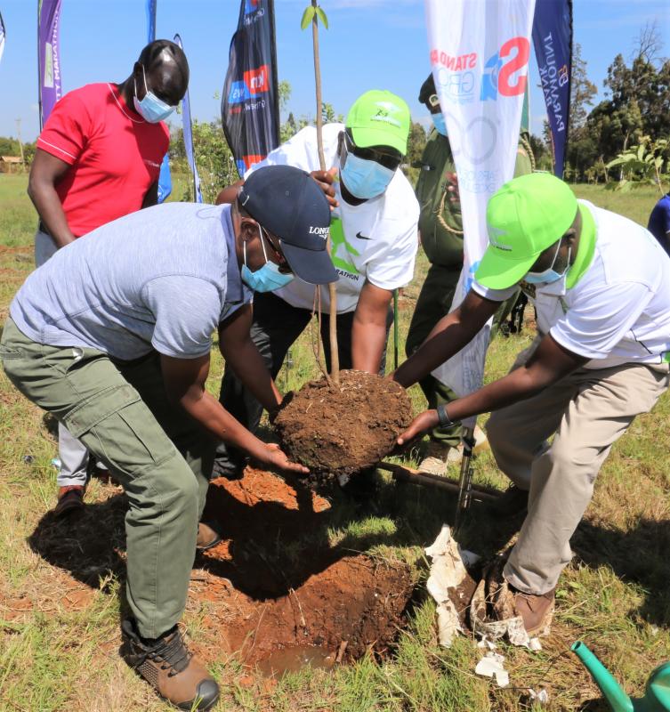 Sponsors to plant trees at Eldoret Arboretum : The standard Sports