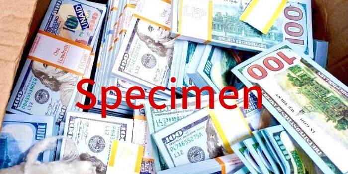 21-Year-Old University Girl Caught With Ksh102M Explains Source